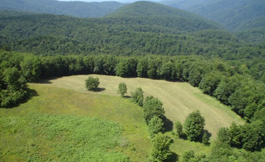 Buna u Bosanskoj Krajini