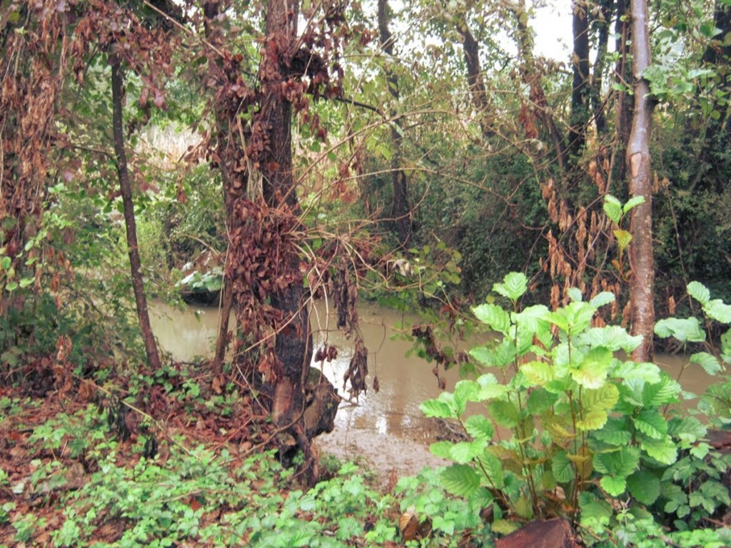 Djeco moja, grehota&nbsp;je…