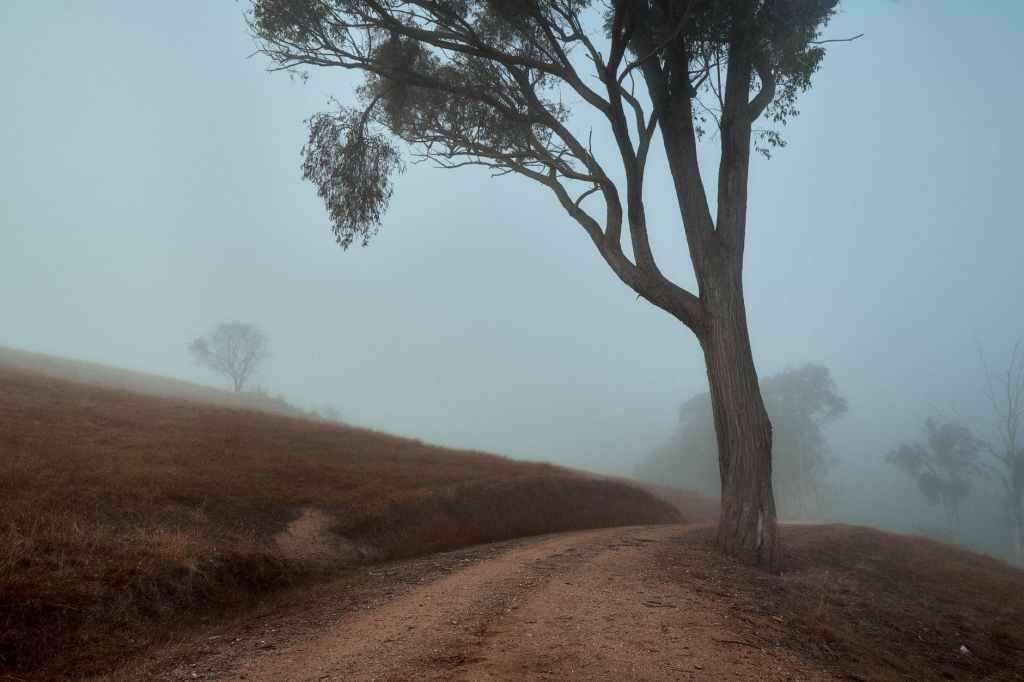 Nadriljekar Mile Dodik